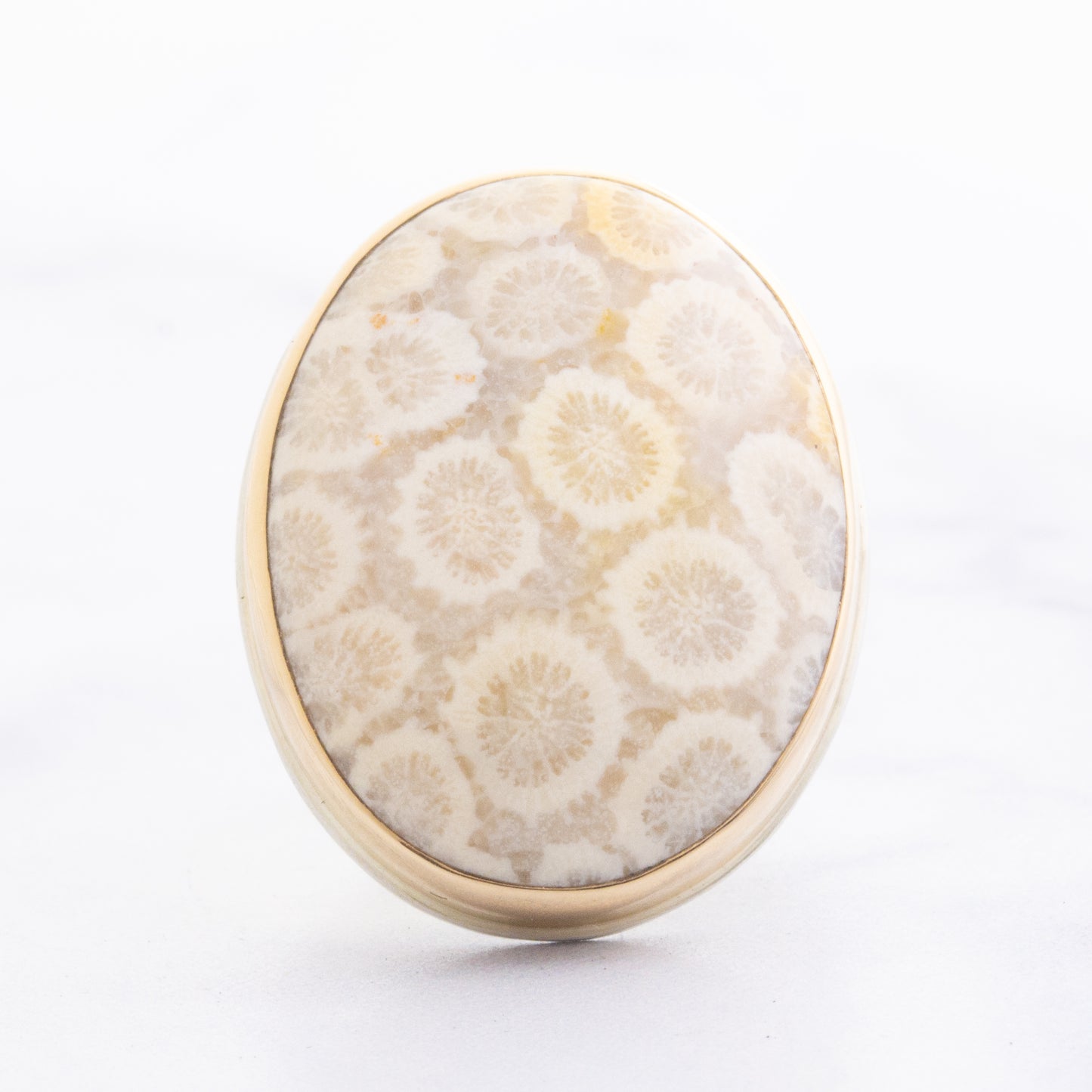 Sterling & 14K Gold Oval Fossilized Coral Ring