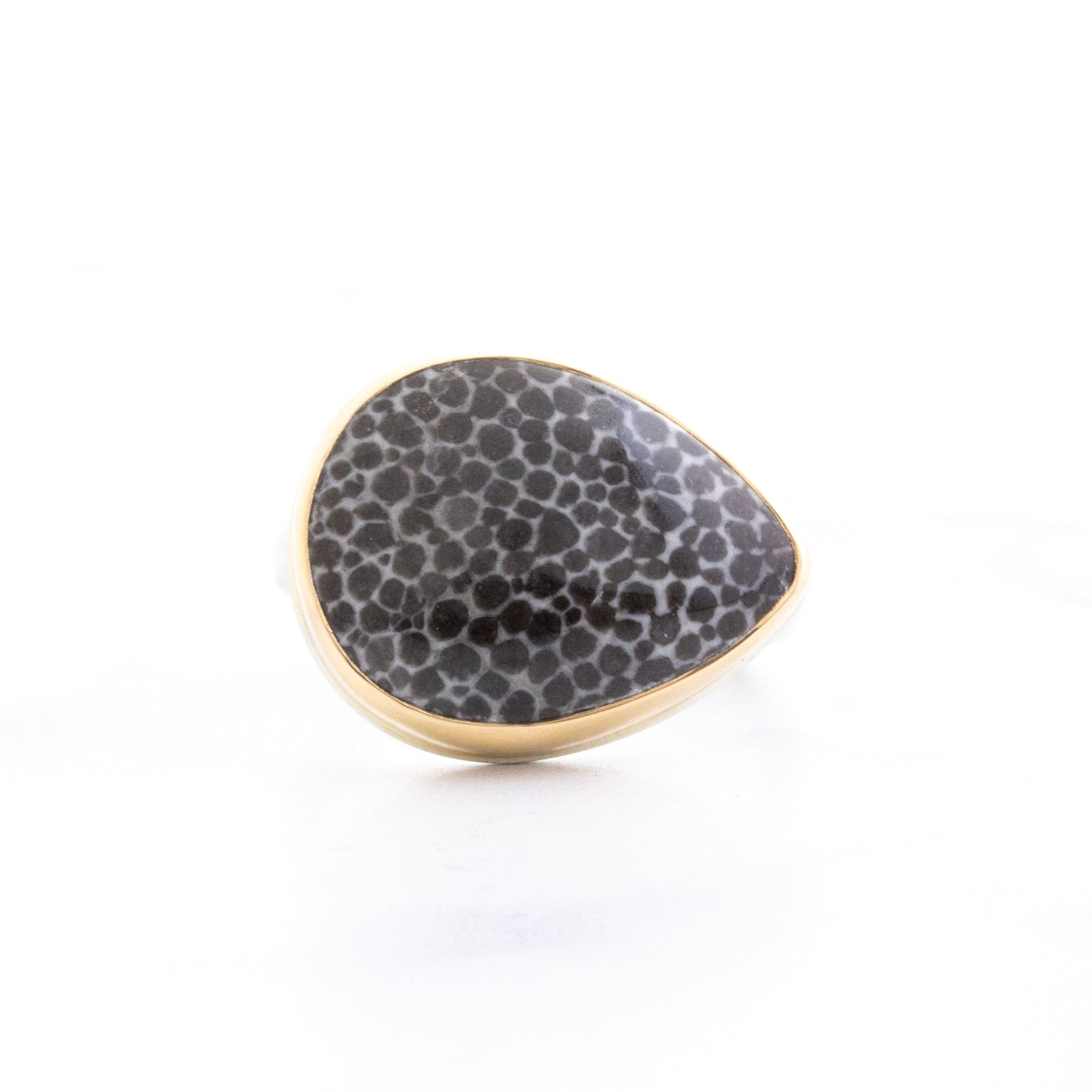 Sterling & 14K Gold Small Fossilized Stingray Coral Ring