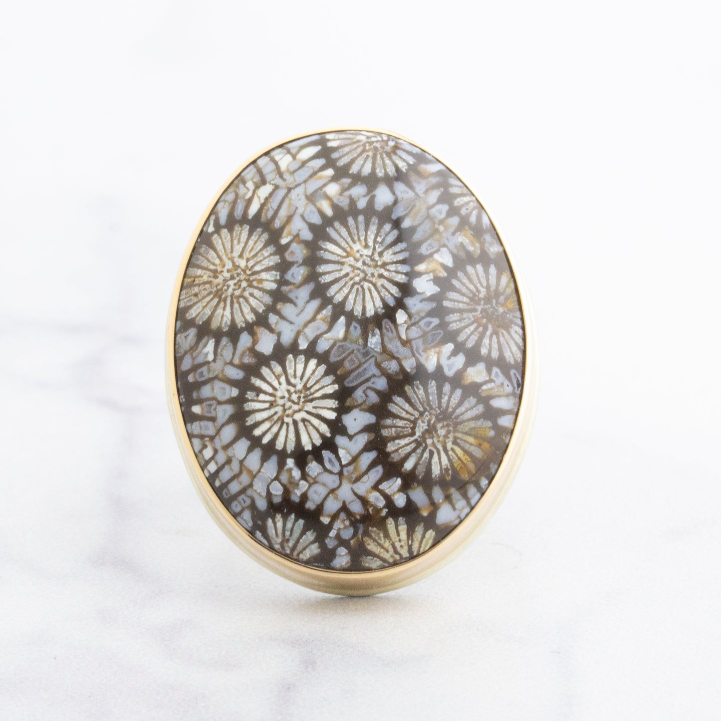 Sterling & 14K Gold Fossilized Coral Ring