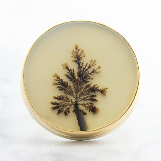Sterling & 14K Gold Dendritic Agate Ring