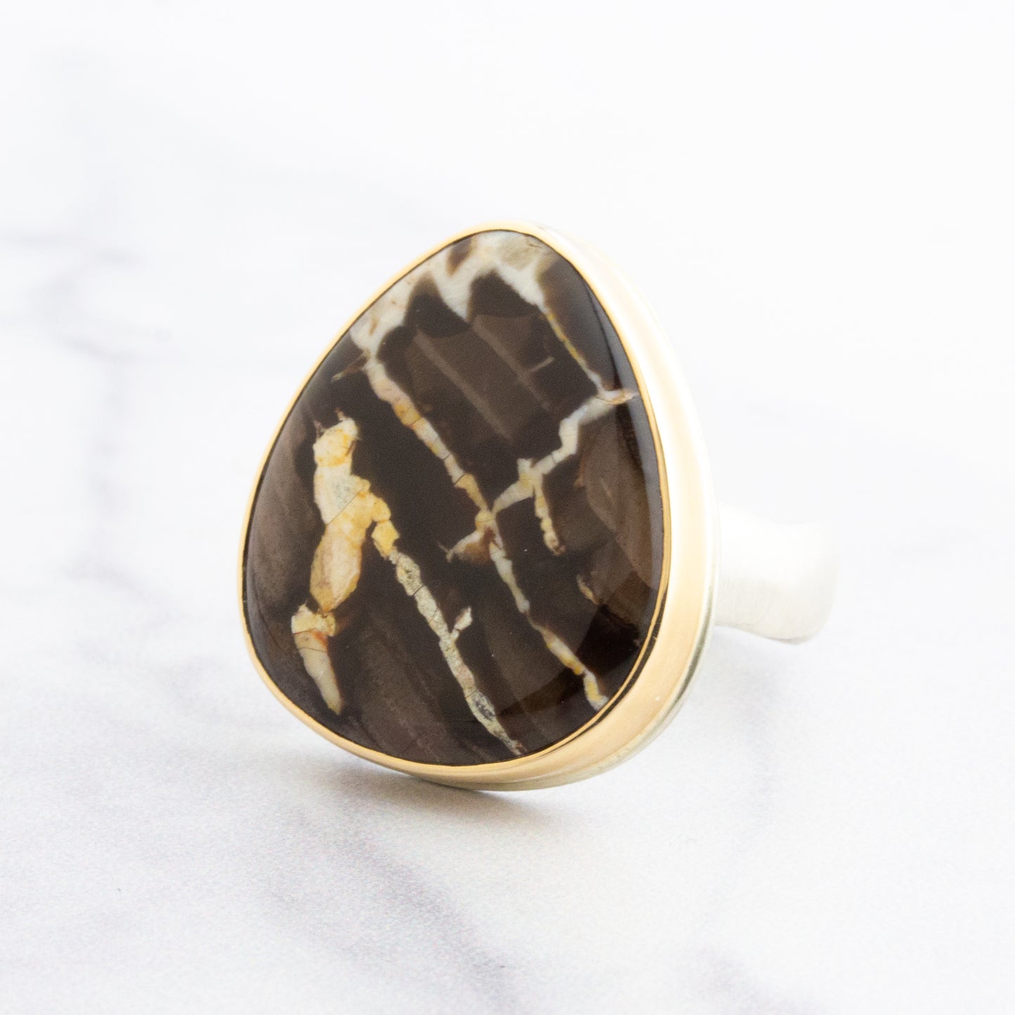 Sterling & 14K Gold Fossilized Peanut Wood Ring