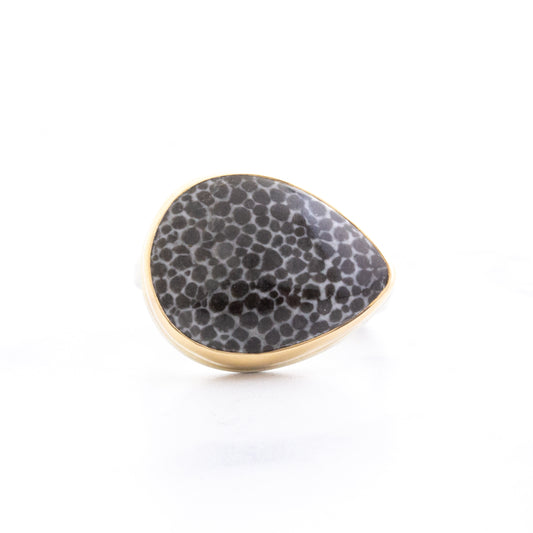 Sterling & 14K Gold Small Fossilized Stingray Coral Ring