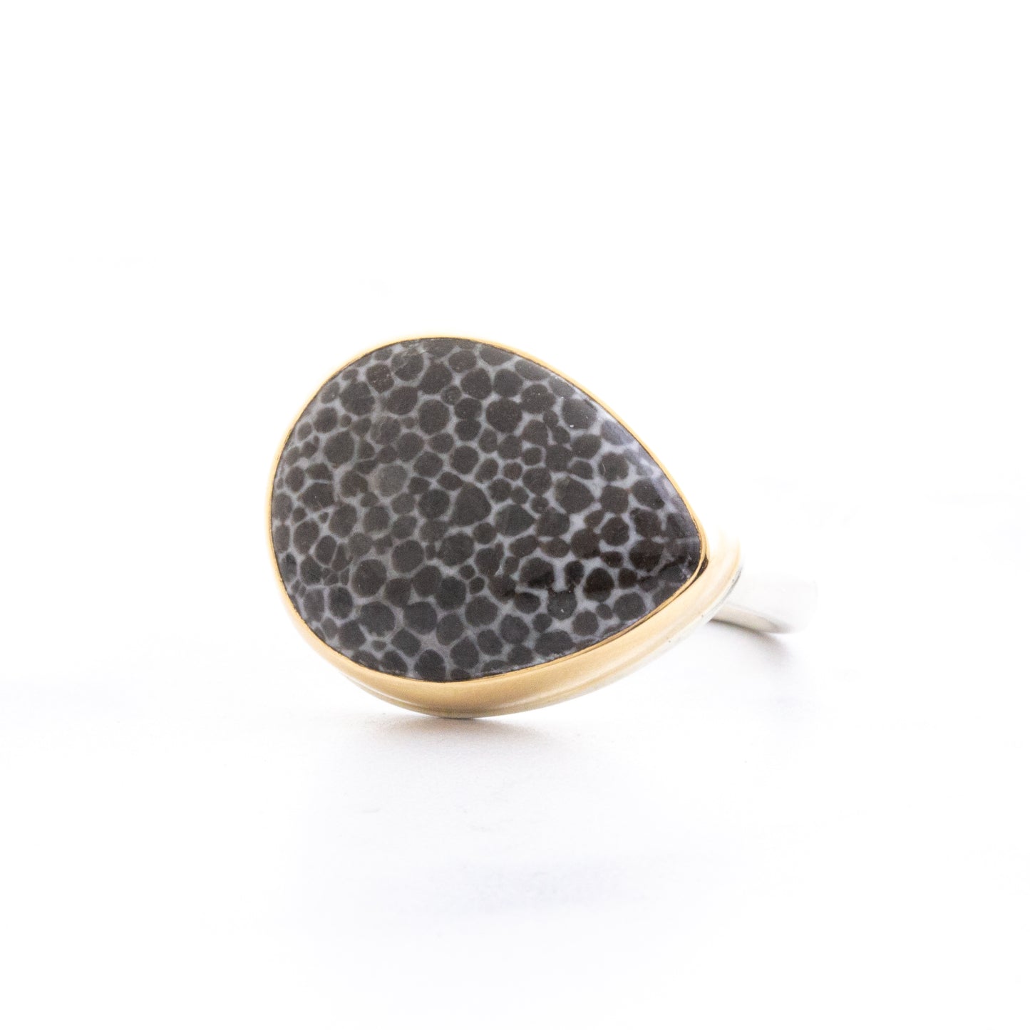 Sterling & 14K Gold Small Fossilized Stingray Coral Ring