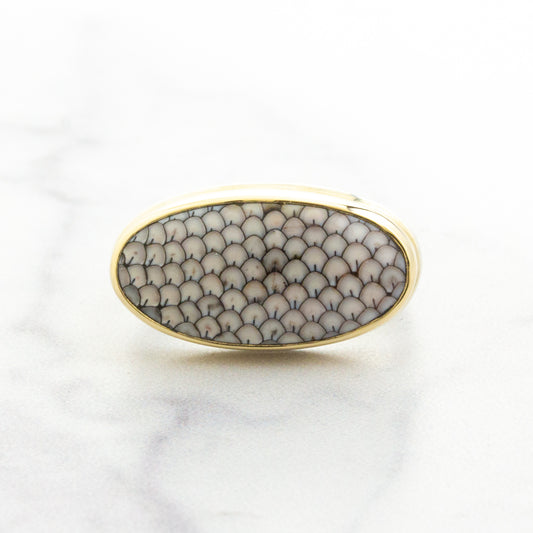 Sterling & 14K Gold Oval Snakeskin Agate Ring
